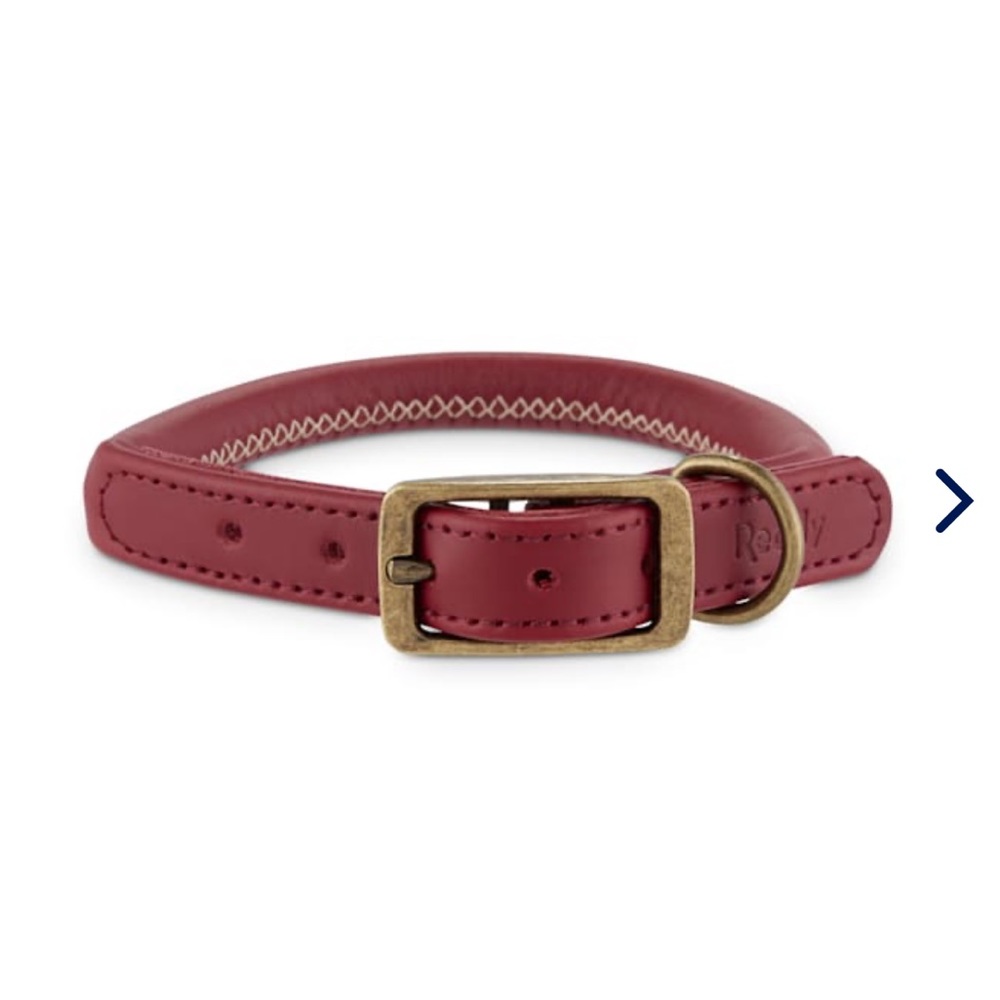 NEW Reddy Maroon Leather Dog Collar, small